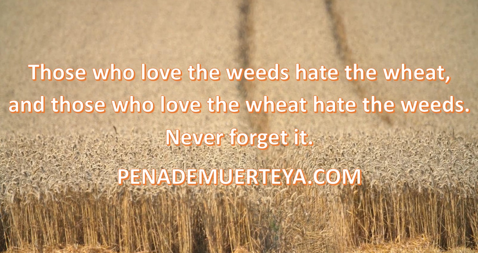 FOR THE WHEAT AGAINST THE WEEDS