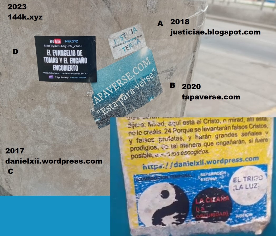 El mudo testigo de mi lucha