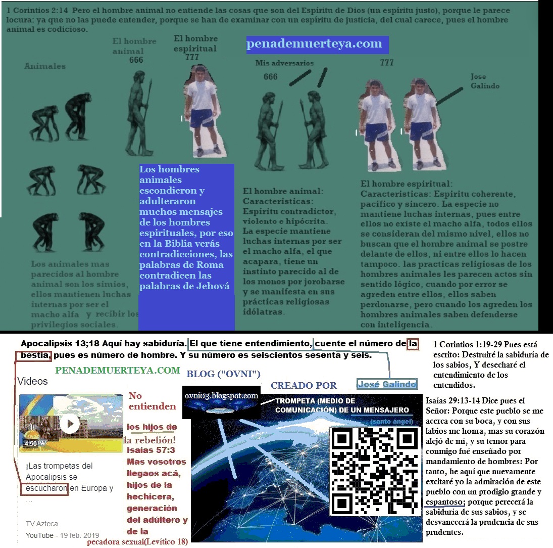 cuales-son-las-diferencias-entre-el-hombre-animal-y-el-hombre-espiritual