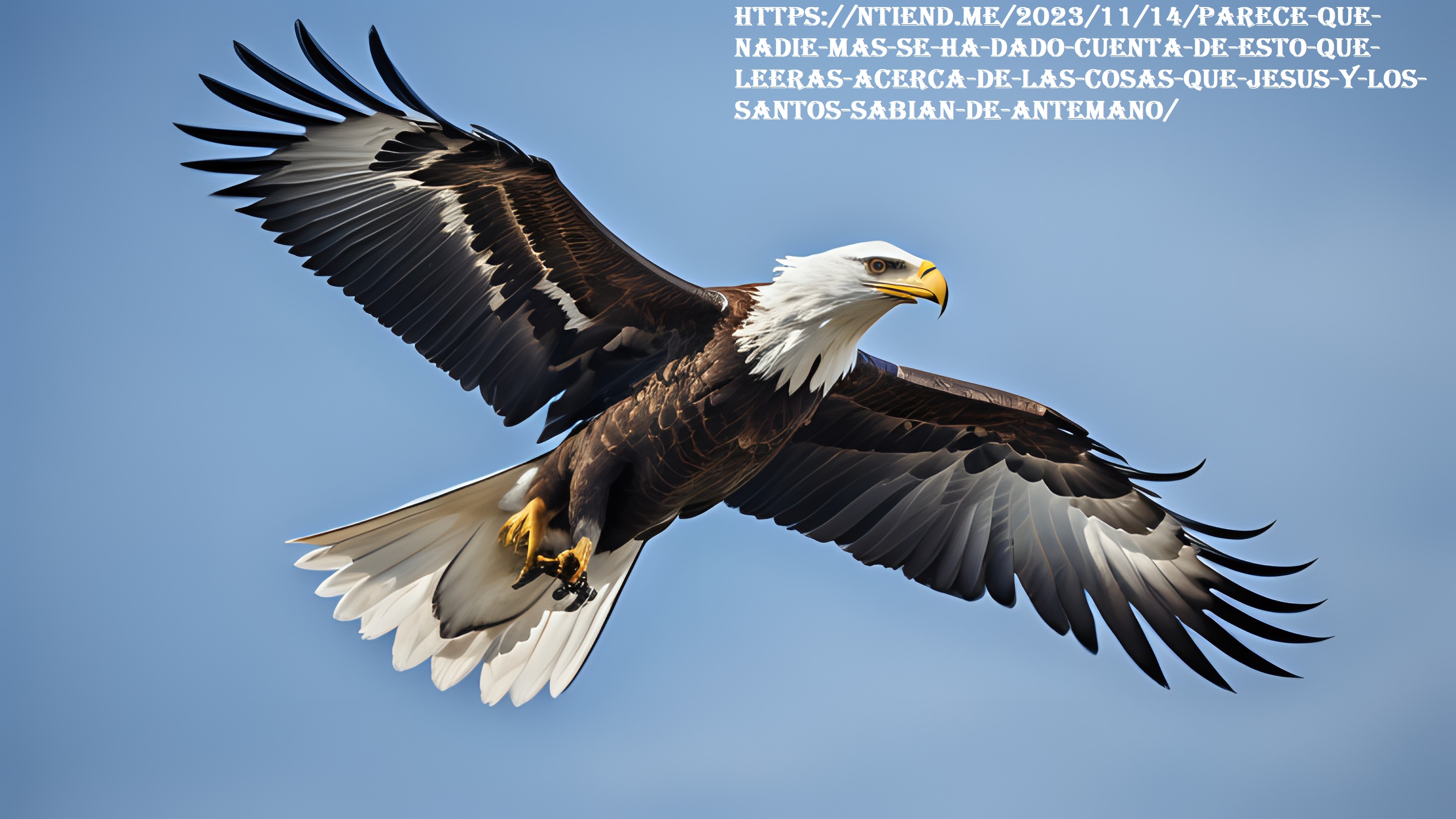 vuela alto para que te des cuenta